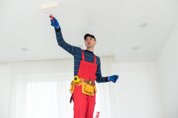 Best Emergency Mold Remediation  in Aspermont, TX